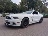 Ford Mustang - Ford Mustang Gebrauchtwagen in Essen