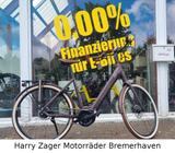 Excelsior Pearl alle Größen lieferbar - Excelsior E-Bikes