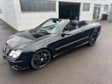 Mercedes-Benz Cabrio CLK 280 V6 AMG-Styling Grand Edition - Mercedes-Benz CLK AMG