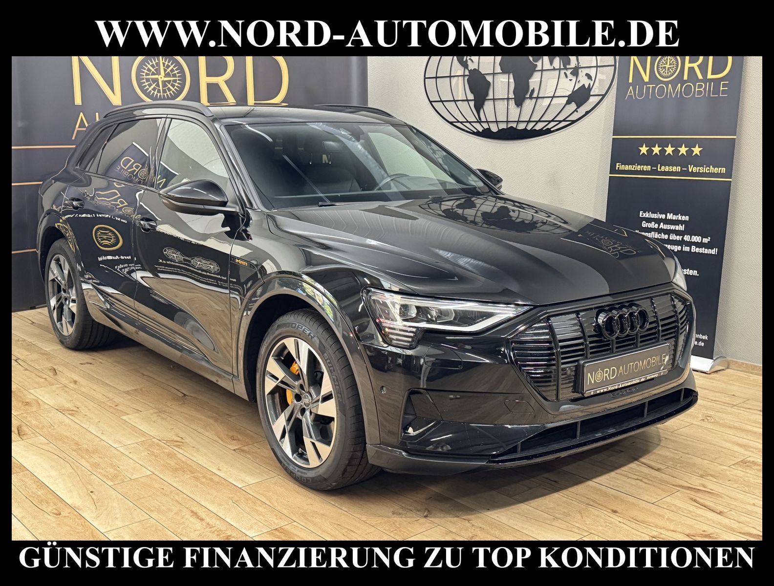 Audi e-tron 50 QU. Advanced HeadUp/Matrix/AHK/20/