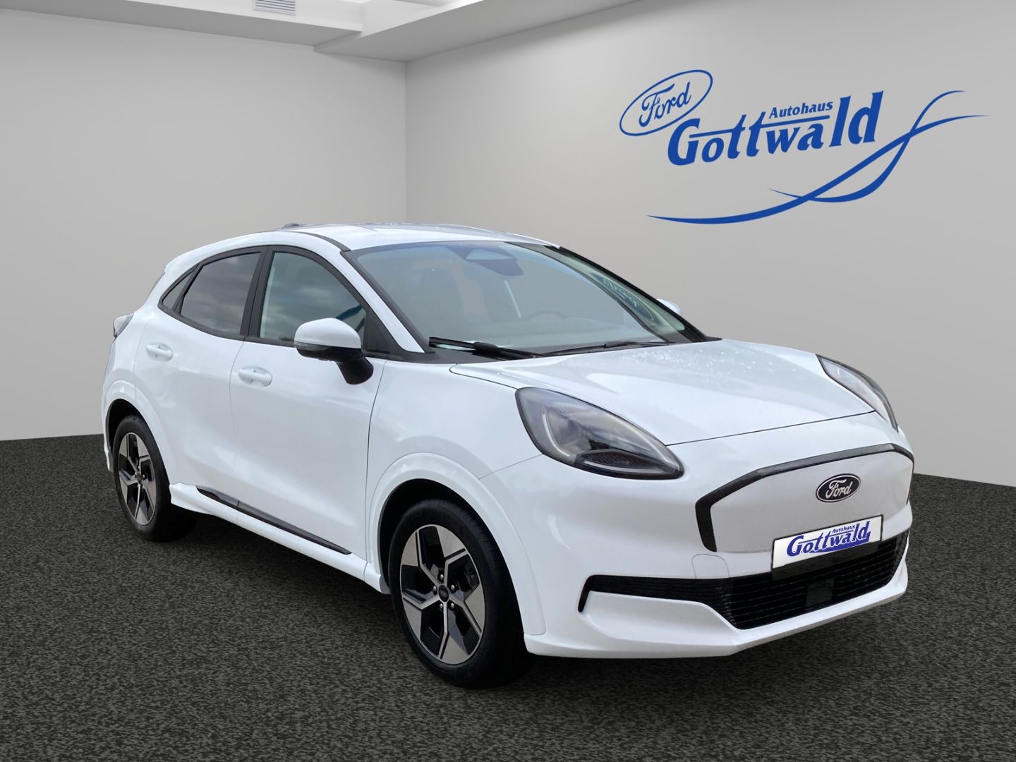 Ford Puma Gen-E  Winter-u.Komfortpaket LED RFK PDC NA