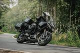 Zero DSR-X Black Forest ab Lager verfügbar - Offers