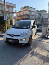 Fiat Panda 1.0 FireFly S&S Hybrid Sport - Fiat Panda Sport mit Hybrid-Antrieb (Benzin/Elektro)