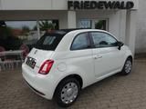 Fiat 500C Mild Hybrid *Klima+Smartphone Integration* - Fiat 500 Jahreswagen: Cabrio