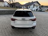 Audi RS4 2.9 TFSI Avant Quattro  - Audi RS4: Weiß