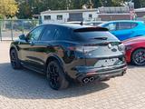 Alfa Romeo Stelvio Quadrifoglio Q4 #Pano #TechPaket - Alfa Romeo Stelvio Gebrauchtwagen