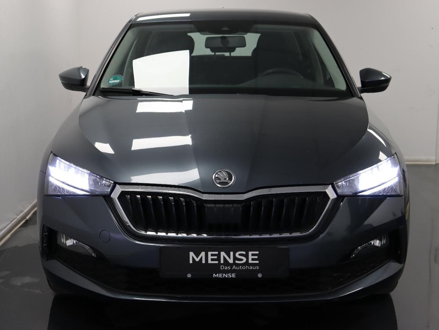 Skoda Scala 1.0 TSI Active Cool Plus |W-Paket|PDC|FLA