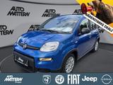 Fiat Panda 1,0 Hybrid PDC TFT Tacho Klima Bluetooth