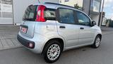 Fiat Panda 1.2 TÜV,KLIMA,1-HAND,22.000KM - Fiat Panda Gebrauchtwagen in Stuttgart