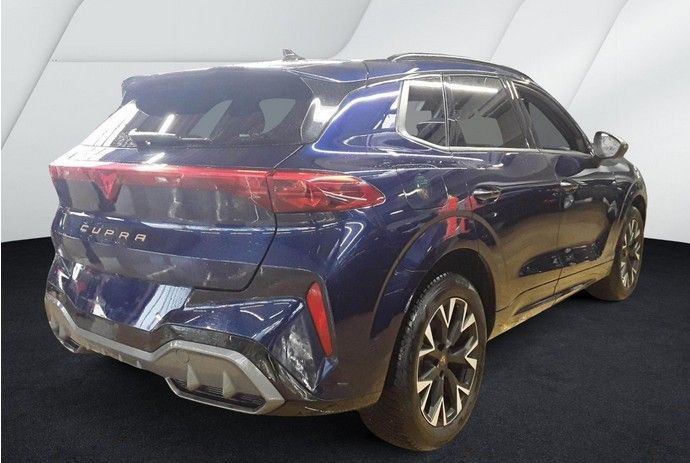 Cupra Terramar - Bild 3