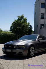 Ford Mustang 5.0 GT (Benzin/Flüssiggas) - Ford Mustang Gebrauchtwagen in Frankfurt