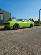 Dodge Challenger - Dodge: Grün