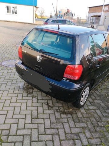 Volkswagen Fahrzeug Polo