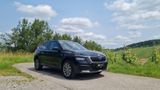 Skoda Kamiq 1.5 TSI 7-Gang-DSG TOUR ViCo RFK ACC - Skoda Kamiq Gebrauchtwagen in Stuttgart
