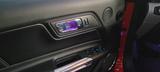 Ford Mustang 5.0 Ti-VCT V8 GT Auto GT - Ford Mustang mit Benzin-Antrieb: Cabrio, 5.0