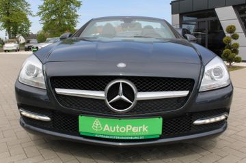 Mercedes-Benz SLK 250 SLK Roadster SLK 250 CDI BlueEfficiency