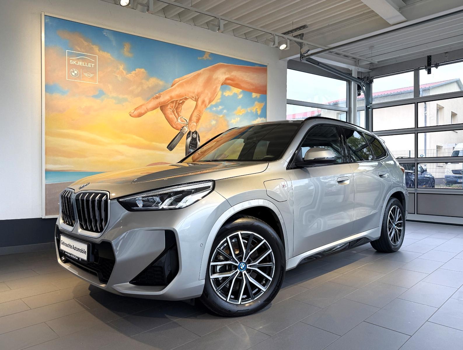 BMW X1 25 e xDr M SPORT LEDer+AL+SPUR+KAM+STANDKLIMA
