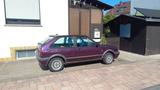 Volkswagen Polo 86c 2f Sondermodell Genesis, Orginal ... - Volkswagen Polo: 86c 2f