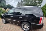 Cadillac Escalade 6.0 V8 Hybrid Platinum Autom. Platinum - Cadillac Escalade: V