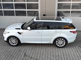 Land Rover Range Rover Sport SE PANO|HIFI|ASSISTENZ-PAKET - Land Rover Range Rover Sport: Se