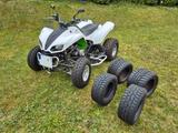 Kawasaki Quad Kawasaki KFX 700 mit LOF-Zulassung - KAWASAKI QUAD