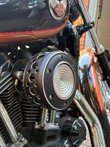 Harley-Davidson Sportster XL 1200 / 105 years anniversary - HARLEY-DAVIDSON 2008 SPORTSTER 1200