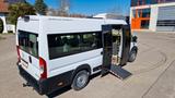 Fiat Frontniederflur Ducato Movano Boxer Sprinter
