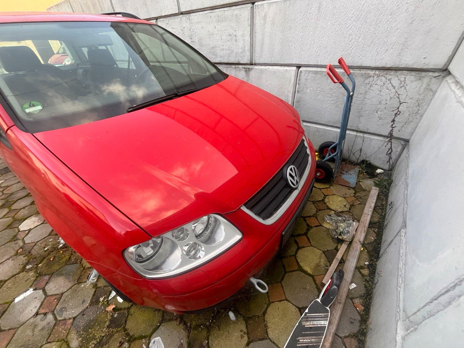 Ford Focus 2009 — photo 8
