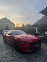 Ford Mustang 5.0 KW-V3, Frontkamera etc. - Ford Mustang Gebrauchtwagen in Duisburg