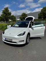 Tesla Model Y SR | 02/2024 | 19.800km | BYD-Akku - Tesla Model Y aus 2024