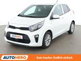 Kia Picanto 1.0 Vision*SHZ*KLIMA*GARANTIE* - Kia Picanto Gebrauchtwagen in Stuttgart