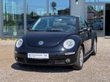 Volkswagen New Beetle Cabriolet 1.6 Klima Sitzheizung PDC - Volkswagen New Beetle aus 2010
