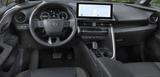 Toyota C-HR 2.0-l-VVT-i HEV Lounge Premiere - Toyota C-HR Lounge-Premiere
