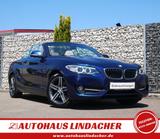 BMW 220d Cabrio Sport Line | Leder | Xenon | Navi - BMW 220: D