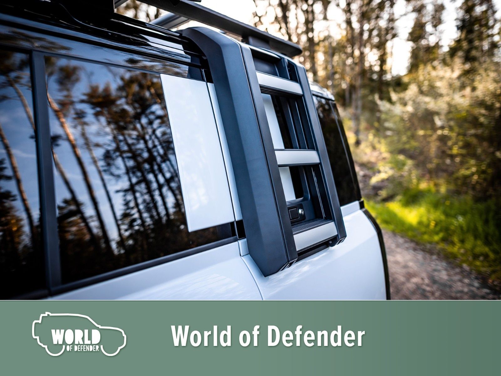 Fahrzeugabbildung Land Rover Defender 110 D250 X-Dynamic SE Rough Edition
