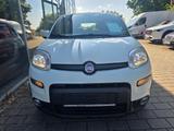 Fiat Panda Sport Carplay Sitzhzg. Parsensoren ZV... - Fiat Panda Sport mit Benzin-Antrieb
