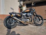 Harley-Davidson Sportster Iron 883 - 1200ccm - HARLEY-DAVIDSON IRON 883