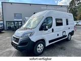 Chausson V 594 S FirstLine Modell 2024 "sofort verfügbar" - Offers matching your search criteria