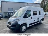 Chausson V 594 S FirstLine Modell 2024 "sofort verfügbar" - Offers matching your search criteria