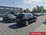 Volkswagen Tiguan Life 1.5 TSI AHK Navi LED  Klimaautomatik - Volkswagen Tiguan: 5n