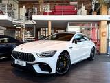 Mercedes-Benz AMG GT 53 4M Aero V8 Designo Edition 1 NP~170T€ - Mercedes-Benz: 170 V