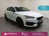 Cupra Leon 2.0 TSI VZ Navi|Beats|ACC|Sitzhzg. - Cupra Gebrauchtwagen in Frankfurt