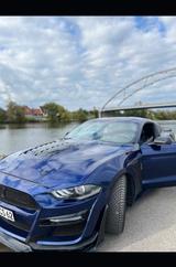 Ford Mustang 5.0 Ti-VCT V8 GT Import  - Ford Mustang: I