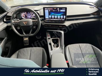 Cupra Terramar - 12