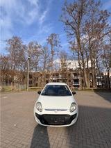 Fiat Punto Evo | sparsam | günstiger Unter... - : Kleinwagen, Guenstig