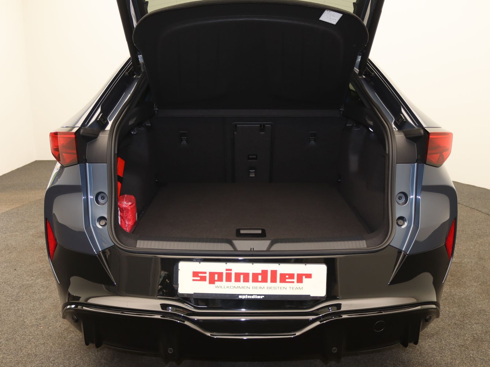 Cupra Tavascan - Bild 9