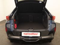 Cupra Tavascan - Vorschau Bild 9