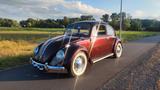 Volkswagen Käfer - Volkswagen Käfer Gebrauchtwagen