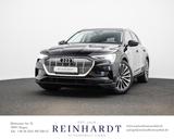 Audi E-TRON 50 Q 21Z./MATRIX/ACC/CARPL/eSITZE/AHK/KAM