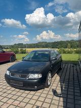 Audi A3 1.9TDI mit TÜV an Export - Audi A3 aus 2002: 1.9